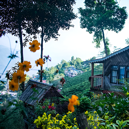 DRJ335 Offbeat Homestay in Tukvar Tea Estate, Darjeeling