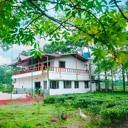 Front Image