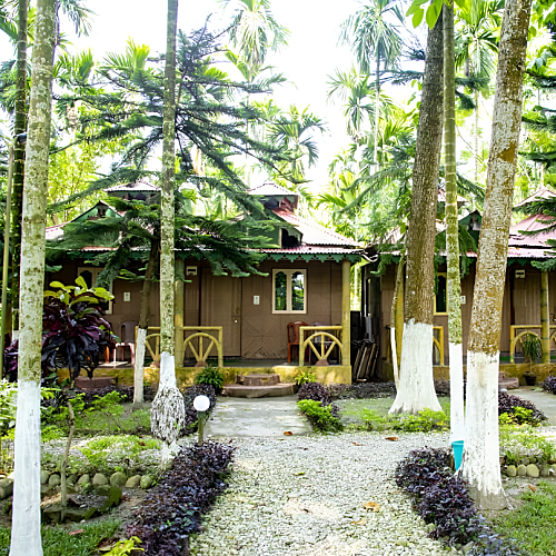 Front Image