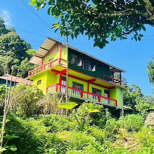 PBG1605 Kanchenjunga View Scenic Homestay In Pabong